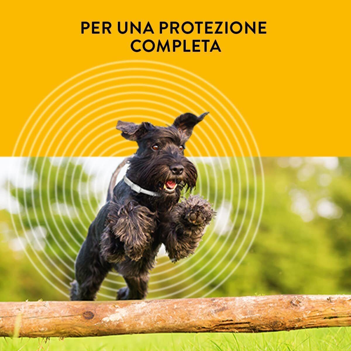 74b1cb44166aa42cf653d05aa226362c
